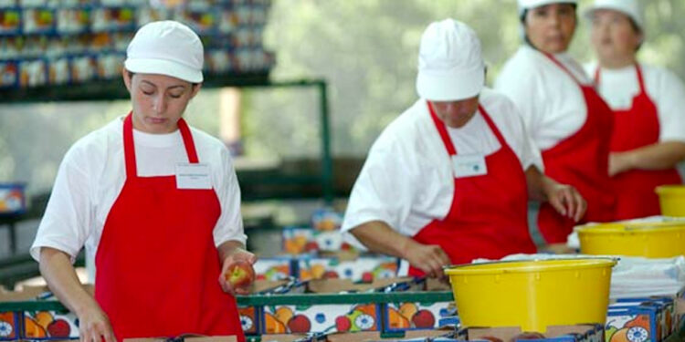 Chile: trabajadores del Estado se incrementaron en más del 56% desde el 2010