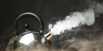 Vigilando la enorme escasez humana y la creciente deshonestidad política