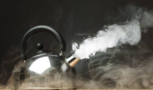 Vigilando la enorme escasez humana y la creciente deshonestidad política