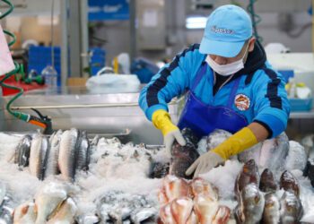 INEI: Precios al consumidor de Lima Metropolitana aumentaron 0,11% en noviembre de 2025