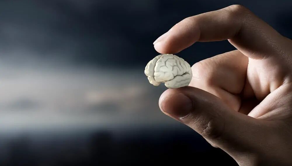 La izquierda propone el derecho humano a la estupidez, algo que le entusiasma mucho