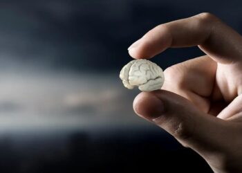 La izquierda propone el derecho humano a la estupidez, algo que le entusiasma mucho