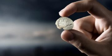 La izquierda propone el derecho humano a la estupidez, algo que le entusiasma mucho