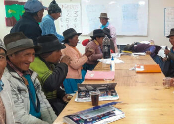 Perú: A nivel nacional aumentaron los hogares con personas adultas mayores