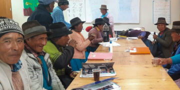 Perú: A nivel nacional aumentaron los hogares con personas adultas mayores