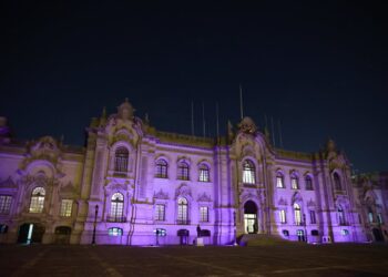 Vienes a medianoche, te vas de madrugada, viajas en avión presidencial y luego… te contratamos