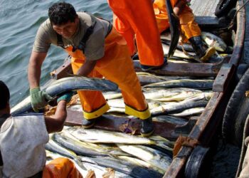 INEI: Producción nacional cerró el año 2025 con un aumento de 3,44%