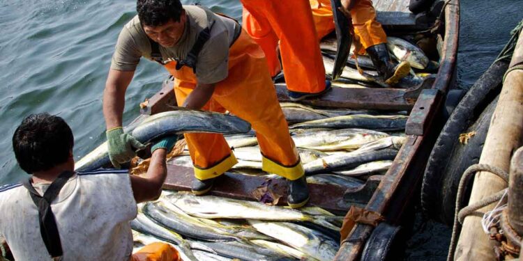 INEI: Producción nacional cerró el año 2025 con un aumento de 3,44%