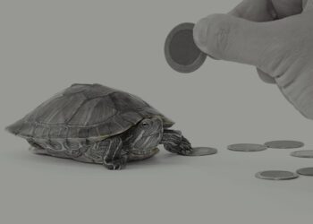 CAPECO: Inversión y construcción se ralentizarán en 2026 por incertidumbre y presión por reducir déficit fiscal