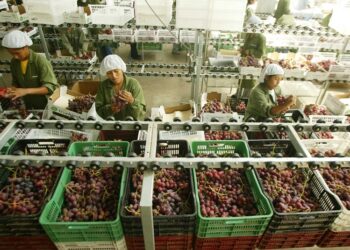 INEI: en el primer bimestre de 2026, la actividad productiva del país acumuló un crecimiento de 3,61%