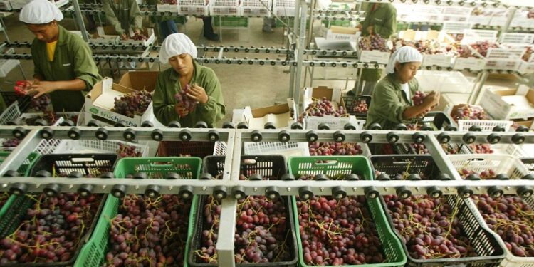 INEI: en el primer bimestre de 2026, la actividad productiva del país acumuló un crecimiento de 3,61%