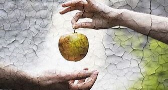 Elecciones 2026, una situación prevista, repetida: el fruto podrido de una concertación dañina