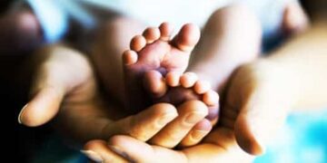 San Juan Pablo II y su exhortación apostólica Christifideles laici: la sacralidad de la persona no puede ser aniquilada