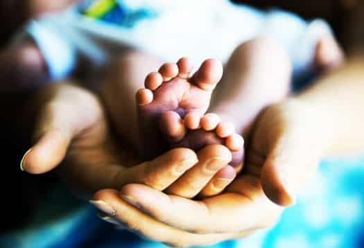 San Juan Pablo II y su exhortación apostólica Christifideles laici: la sacralidad de la persona no puede ser aniquilada