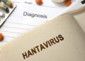 ¿Qué son los hantavirus y qué peligro representan?
