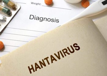 ¿Qué son los hantavirus y qué peligro representan?