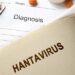 ¿Qué son los hantavirus y qué peligro representan?