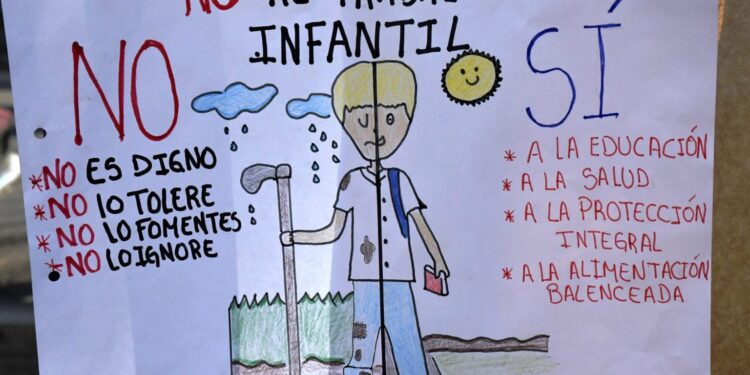 Incidencia de trabajo infantil se ubica en un 51.5% en áreas rurales, mientras que la urbana en un 14%