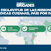 Cuban Medical Brigades: la esclavitud de las misiones médicas cubanas, expuesta país por país