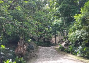 Tampoco para nosotros, es fácil entender y aceptar los caminos de Dios, especialmente cuando están muy alejados de los nuestros