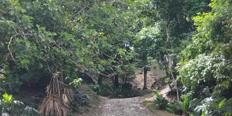 Tampoco para nosotros, es fácil entender y aceptar los caminos de Dios, especialmente cuando están muy alejados de los nuestros