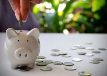 Informalidad laboral y densidad de cotización: efectos sobre las pensiones autofinanciadas en América Latina