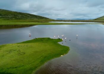AMSAC: consolidando una visión de la remediación ambiental centrada en el impacto para las personas y los territorios